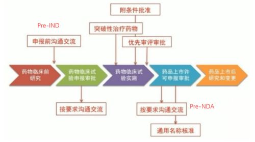 從實驗室到臨床應用 藥品研發全流程與計算機軟硬件技術開發的關鍵支撐